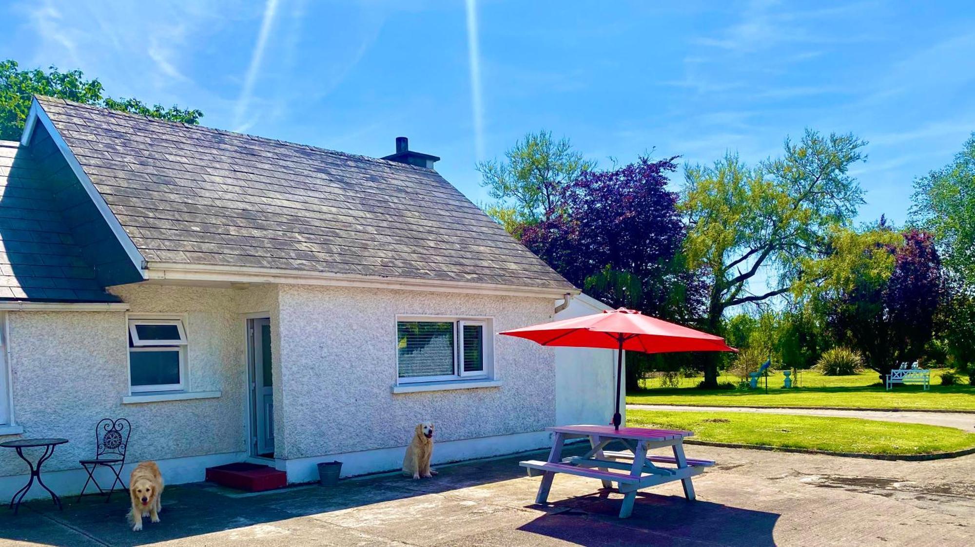 Nolans Organic Farm Vila Wexford Exterior foto