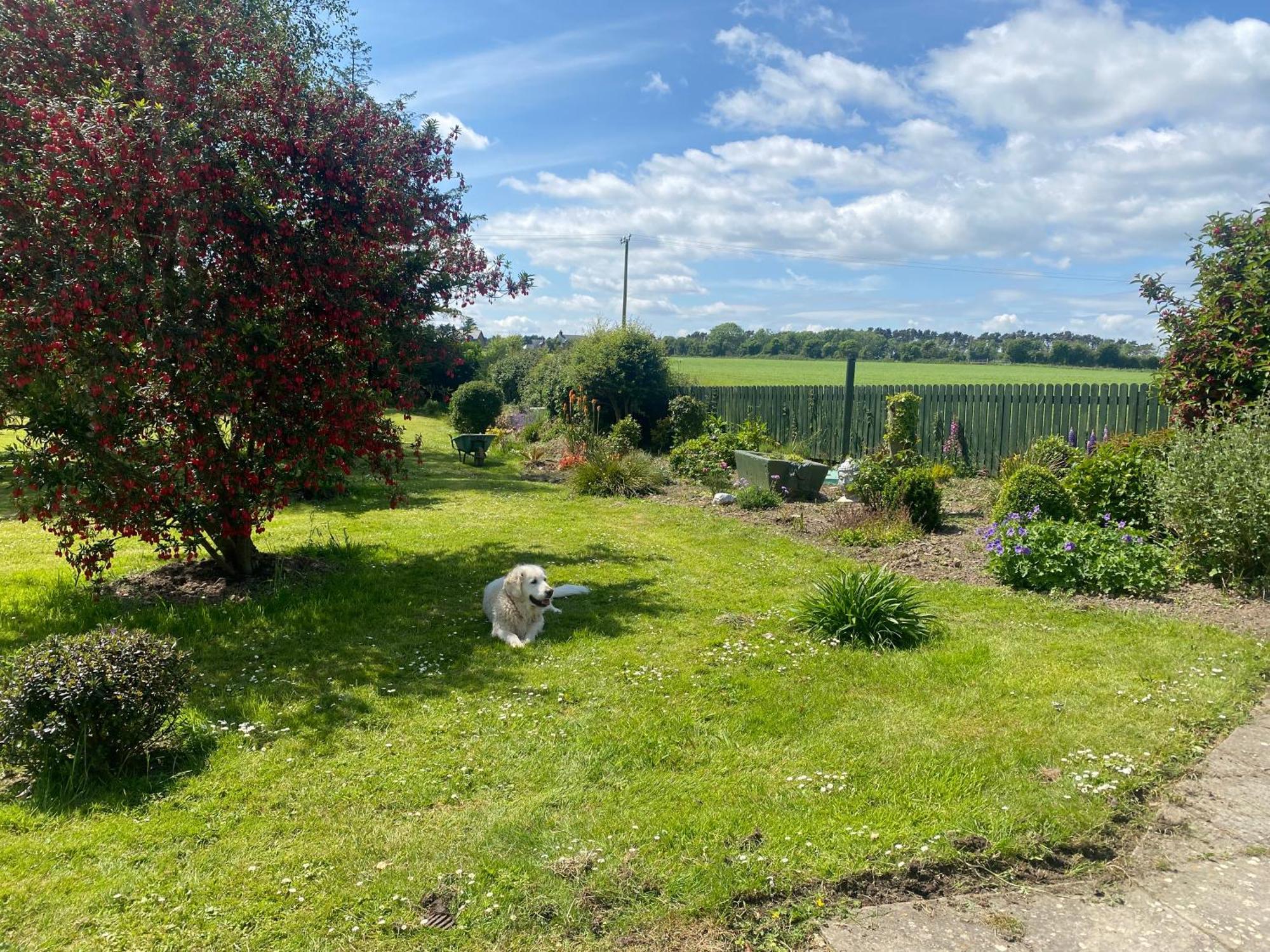 Nolans Organic Farm Vila Wexford Exterior foto