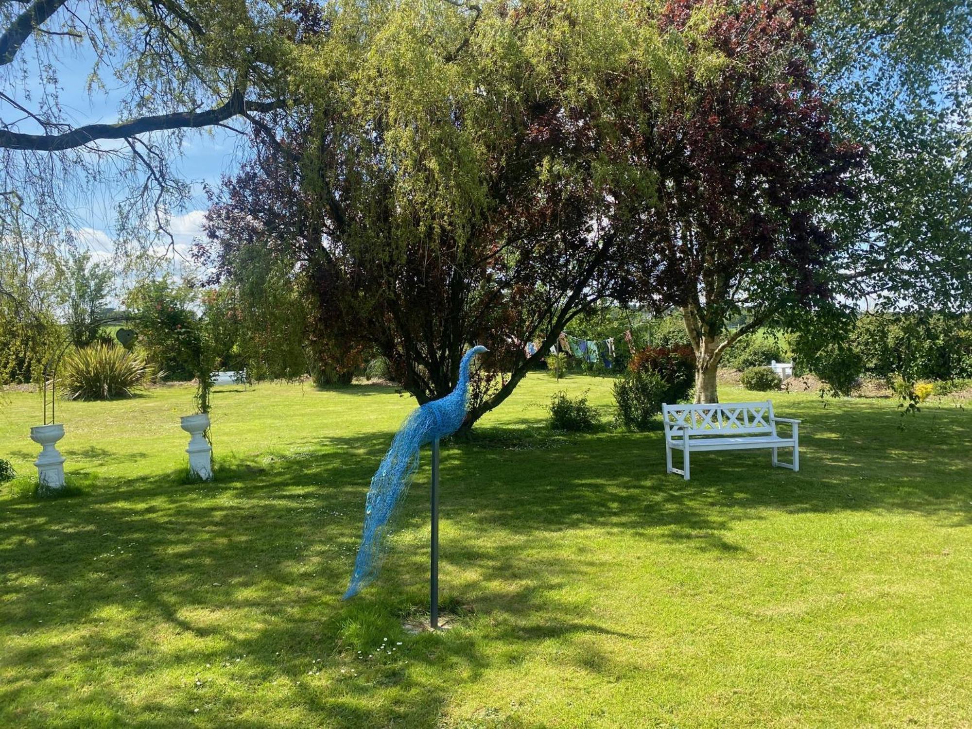 Nolans Organic Farm Vila Wexford Exterior foto